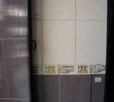 Faience, eventuelle, salle de bain (commune)