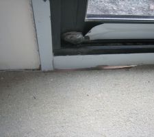 Jour important sous baie vit&eacute;e de la cuisine