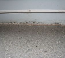 Jour important sous baie s&eacute;jour 3