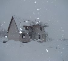 Sous quelques 35 cm de neige elle se porte bien.