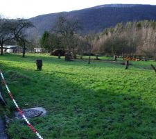 Voil&agrave; le terrain ! Verger de 1500 m2