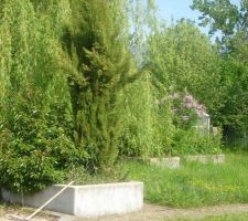 Le jardin, la serre en fond
