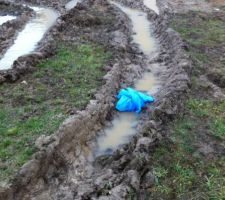 &eacute;tat du terrain