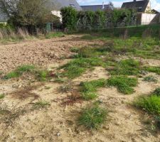 Terrain en attente de la maison