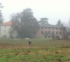 Arrivé sur le terrain ce matin brumeux de début des travaux, les chevaux commencent à se demander ce qu'il se passe ?