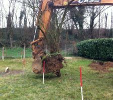 Et cet arbre la : allé hop chez la voisine ;-)