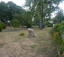 Terrain tel qu'il était avant projet de construction