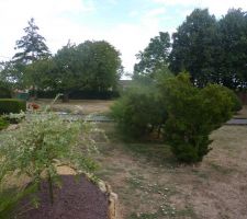 Terrain tel qu'il était avant projet de construction