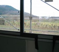 Vue sur le vignoble par la fenêtre de la cuisine.