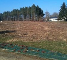 LE TERRAIN VU DE FACE