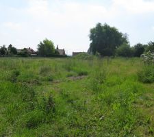 Petite aperçue du terrain (env 1100m2)