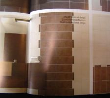 Faïence douche et baignoire