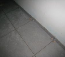 Pose des plinthes ds s&eacute;jour 2.