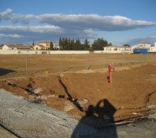 Le grillage surprise !