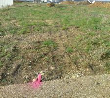 Ce sont les petits poteaux d'implantation pour le terrassier.