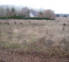 Terrain vu de la route