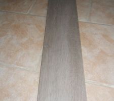 Carrelage choisi pour salon/cuisine