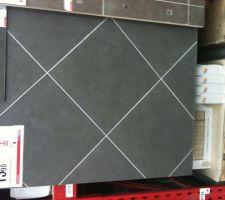 Le carrelage qui nous as tap&eacute; dans l'oeil.