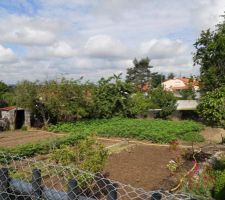 Jardin avant début des travaux