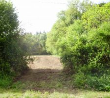 Vue de l'entr&eacute;e