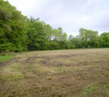 Vue partielle depuis le fond ... il est trop grand pour l'angle de l'appareil !!