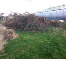La fin du regne du cerisier !!! va faloir par la suite le d&eacute;biter en petit buche.
