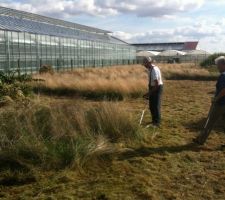 Gros nettoyage du terrain, qui etait un prés pour des chevaux avant. débroussaillage de hautes herbes, avec l'aide de papa et manan bien sure.. lool
heureusement qu'ils etaient là et que le temps etait avec nous aussi