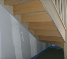 L'escalier en bois exotique.....