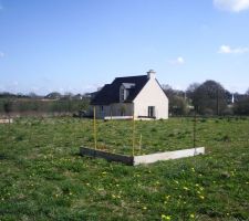 Avant le premier coup de pelle normalement mardi, on &agrave; fait une bonne salade de pisenlits avec des lardons le terrain en est pleins.