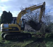 Déplacement des arbres et arbustes