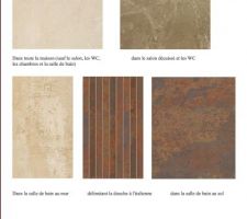 Non r&eacute;alis&eacute;s mais en pr&eacute;vision