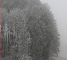 Jour de brouillard, la photo n'est pas en noir et blanc !