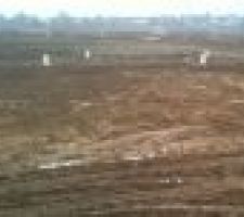 Le lotissement entièrement bornés.