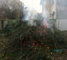 Petit feu pour débiter les branches d'arbres