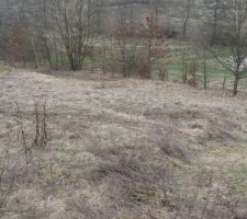 Descente apr&egrave;s terrasse