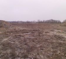 Le terrain...avec implantations.
