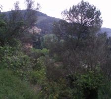 Terrain en friche, comme on l'a d&eacute;couvert