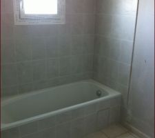 Petit problème .. pas d'arrivée d'eau pour la baignoire .. le plombier a encore fais des siennes ..