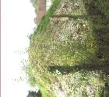 Une partie des gravas pouser a larrier du terrain par le constructeur