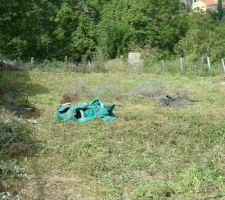 Terrain en cours de nettoyage.