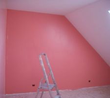 Chambre de la puce