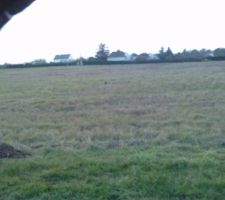 Le terrain avant les travaux de viabilisation