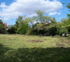 Le terrain n'est plus occup&eacute; depuis plus de
2 ans donc nettoyage.