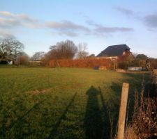 Terrain débarrassé des arbres