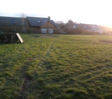 Quelques stères de bois grâce au pommiers!