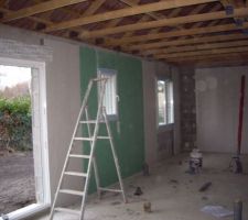 Plaquage des murs