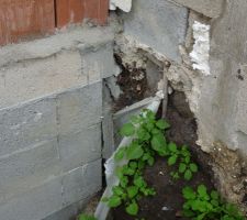 Voilà pourquoi j'ai fait appel à un expert