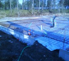 Les  grillages viennent d &ecirc;tre mis