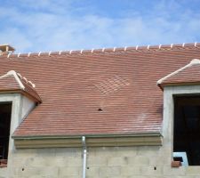 Vue de la couverture en facade arrière avec motifs, goutières et descentes de goutières en zinc