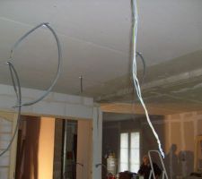 Faux plafond du séjour